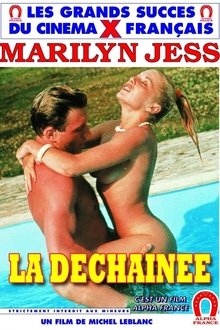 Forbidden Pleasures movie poster