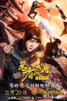 Ninja Notice movie poster