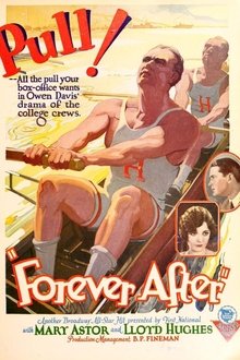 Poster do filme Forever After