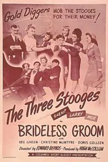 Poster do filme Brideless Groom