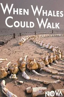 When Whales Could Walk movie poster