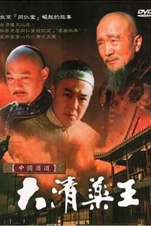 大清药王 tv show poster