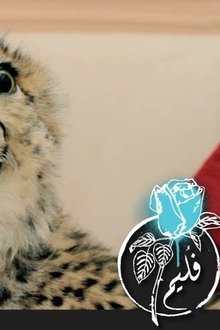 Poster do filme Folaim - Cheetah Wound