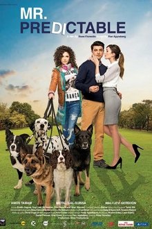 Mr. Predictable movie poster