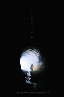 Jackdaw movie poster