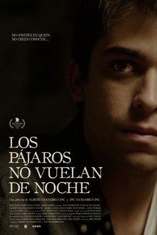 Birds Don’t Fly at Night movie poster