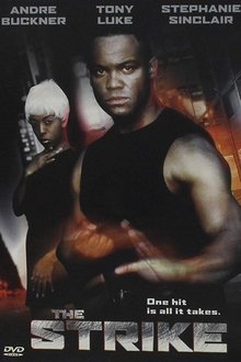 Fighting Chance movie poster