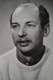 Väino Laes profile picture