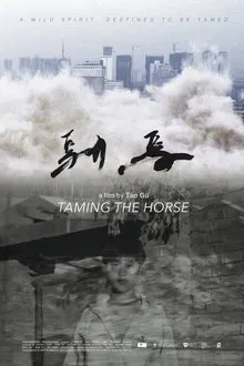 Poster do filme Taming the Horse