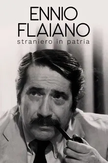 Ennio Flaiano, straniero in patria movie poster