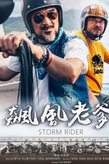 飙风老爹 movie poster