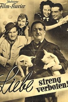 Liebe streng verboten movie poster
