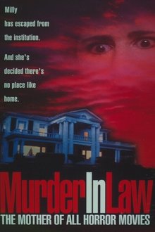 Murder in Law movie poster