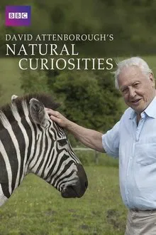 Attenborough's Natural Curiosities tv show poster