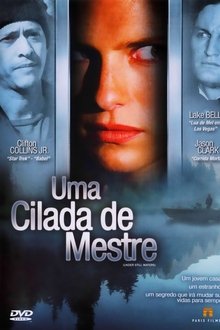 Poster do filme Uma Cilada de Mestre