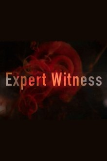Expert Witness tv show poster