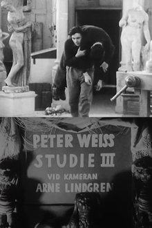 Studie III movie poster