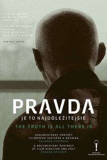 The Truth Is All There Is movie poster