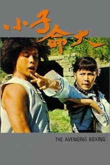 The Fearless Young Boxer movie poster