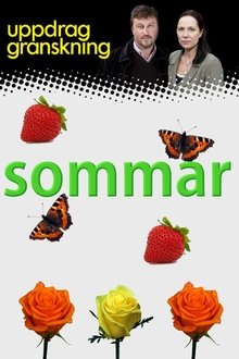 Uppdrag granskning sommar tv show poster