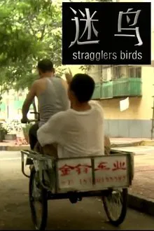 Poster do filme Stragglers Birds