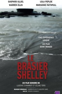 Poster do filme Shelley's Blaze