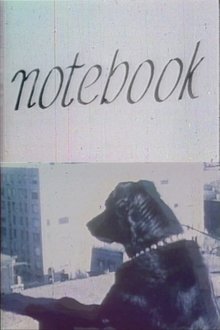Notebook movie poster