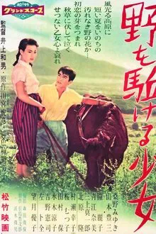 Farewell to Summer movie poster
