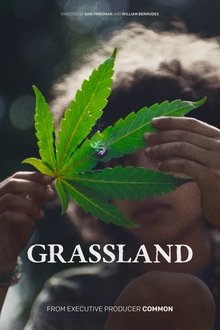 Grassland movie poster