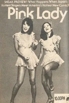 Pink Lady and Jeff tv show poster