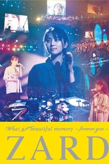 What a beautiful memory ～forever you～ movie poster