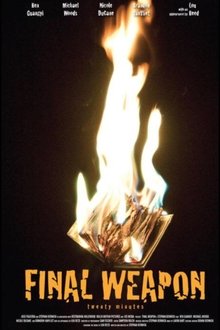 Final Weapon movie poster