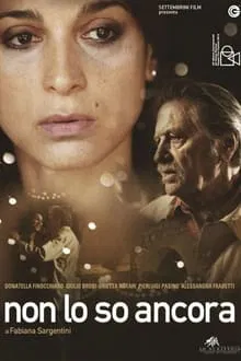 Non lo so ancora movie poster