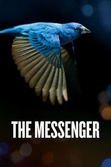 Poster do filme The Messenger