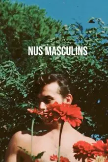 Poster do filme Nus Masculins