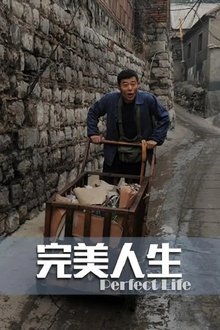 完美人生 movie poster