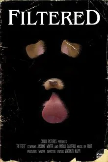 Filtered movie poster