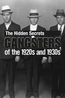 The Hidden Secrets: Gangsters of the 1920s and 1930s movie poster