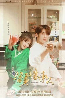 Surrogate Heir tv show poster