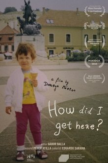 How did I get here? movie poster