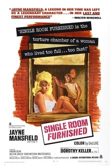 Single Room Furnished movie poster