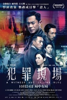 A Witness Out of the Blue movie poster