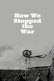 How We Stopped the War movie poster