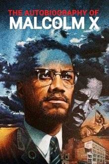 The Autobiography of Malcolm X movie poster