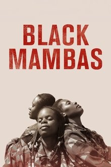 Black Mambas movie poster