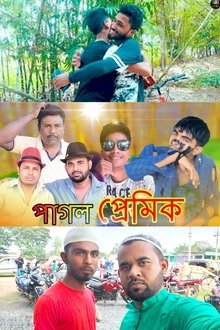 Pagal Premi movie poster