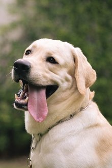 Somwang profile picture