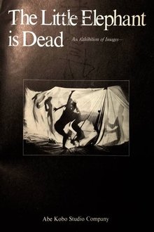 The Little Elephant is Dead / An Elephant Calf Is Dead movie poster