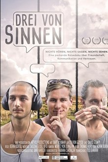 Drei von Sinnen movie poster