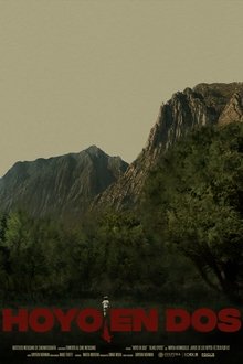 Poster do filme Hoyo en dos